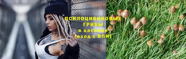 ALPHA PVP Козловка