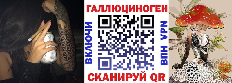 Псилоцибиновые грибы Psilocybe  купить наркотики сайты  Кировград 